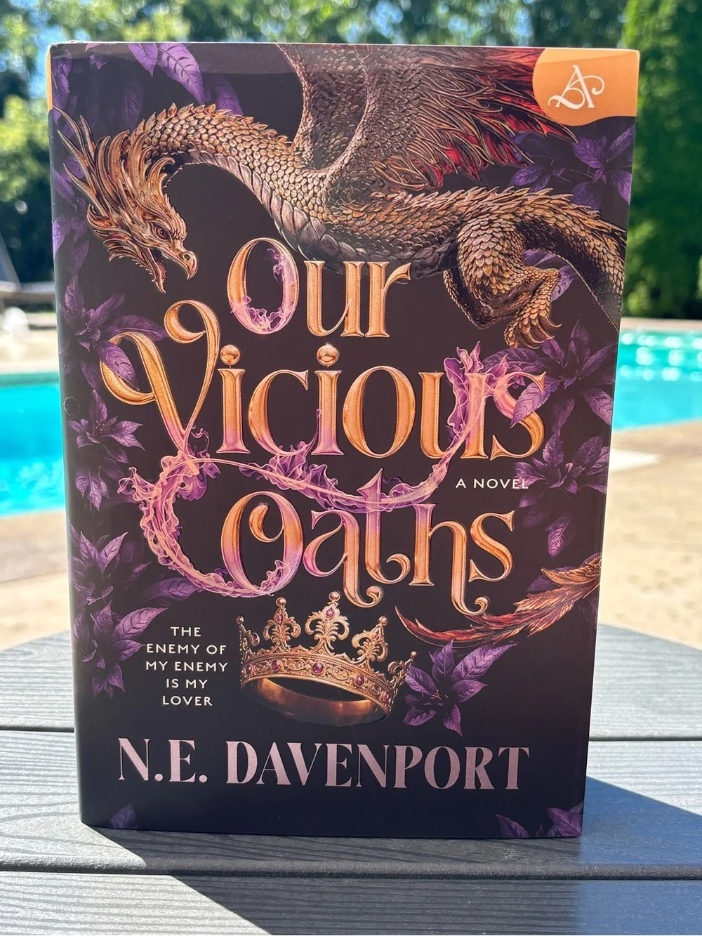 ✨Allurial Special Deluxe Edition – Our Vicious Oaths by N.E. Davenport ✨